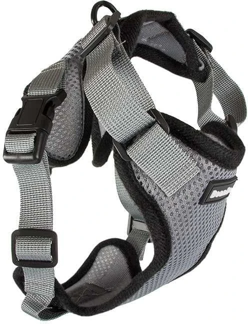 Petnešos XL su pavadėliu