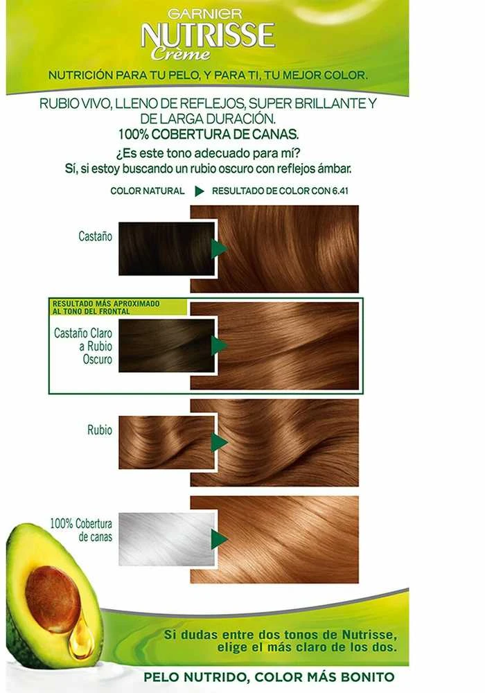 Garnier Nutrisse Crème maitininantis Color 6.41 Intense Brown