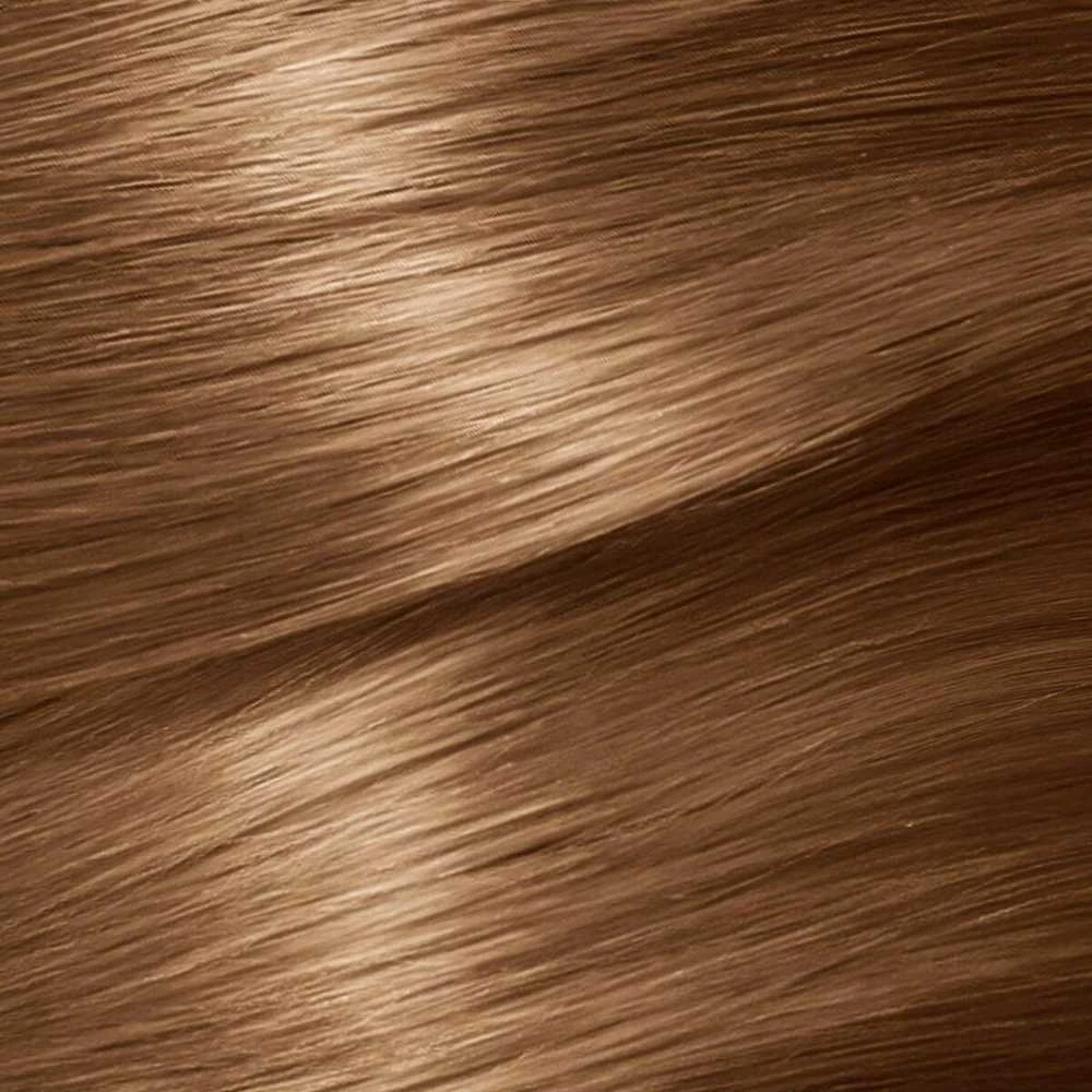 Garnier Nutrisse Crème maitininantis Color 6.41 Intense Brown