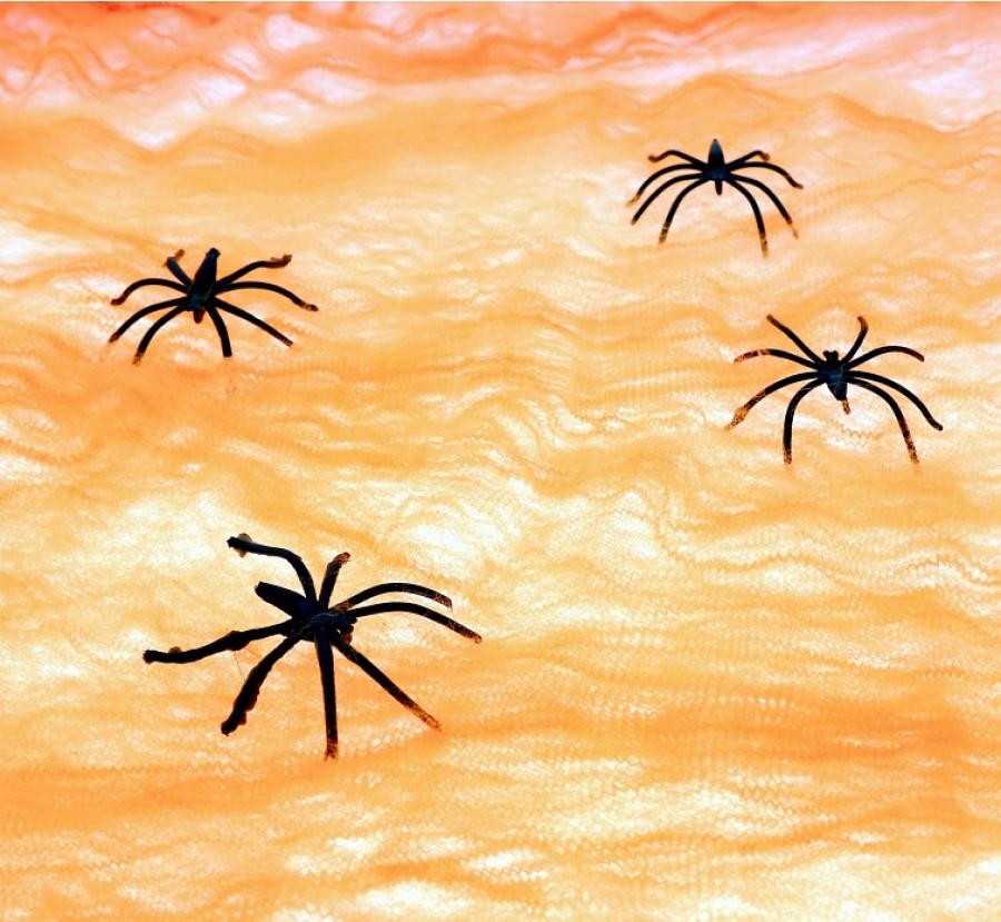GoDan OZDOBA HALLOWEEN PAJECZYNA 20G POM GO PBH