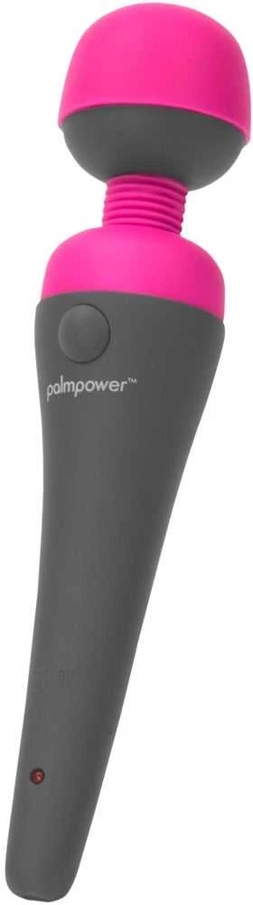 Palm Power PalmPower Massager