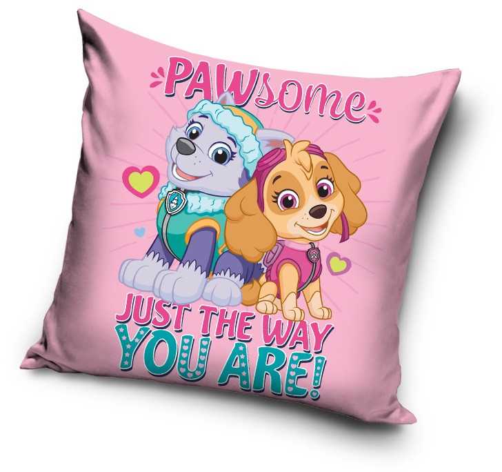 Pagalvė 40x40 Paw Patrol