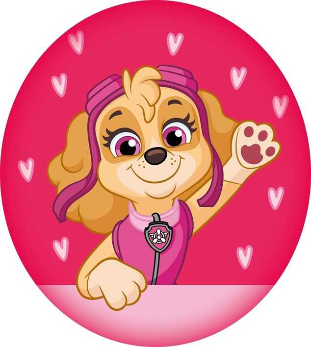 Paw Patrol formos pagalvė