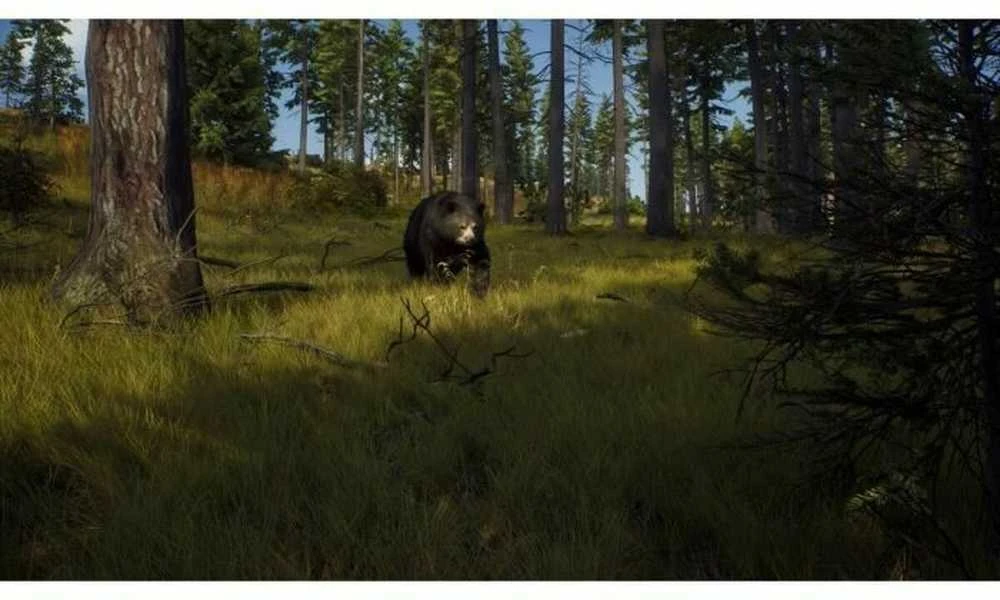 Thq Nordic Way of the Hunter - Wild Expeditions PS5