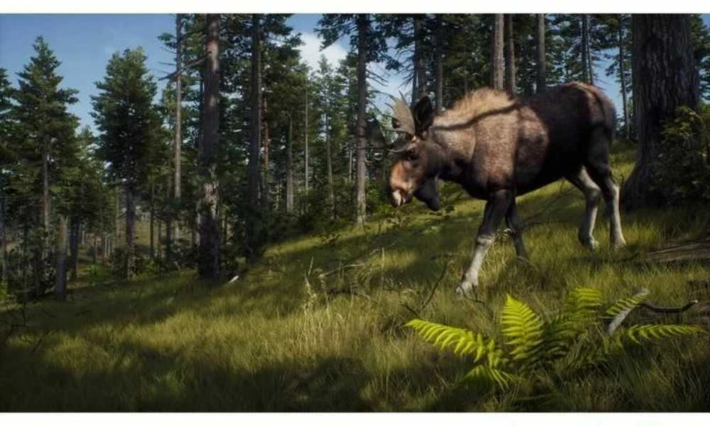 Thq Nordic Way of the Hunter - Wild Expeditions PS5
