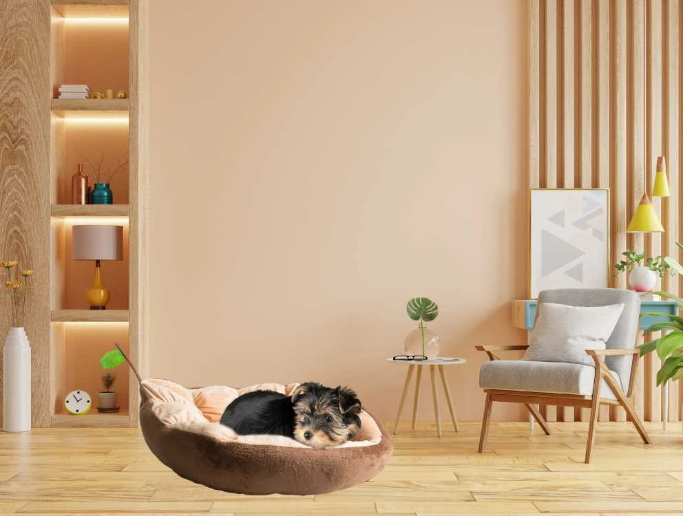 Pliušinė lovos pagalvėlė šunų žaidimų aikštelė katėms minkšta sofa-lovatiesė
