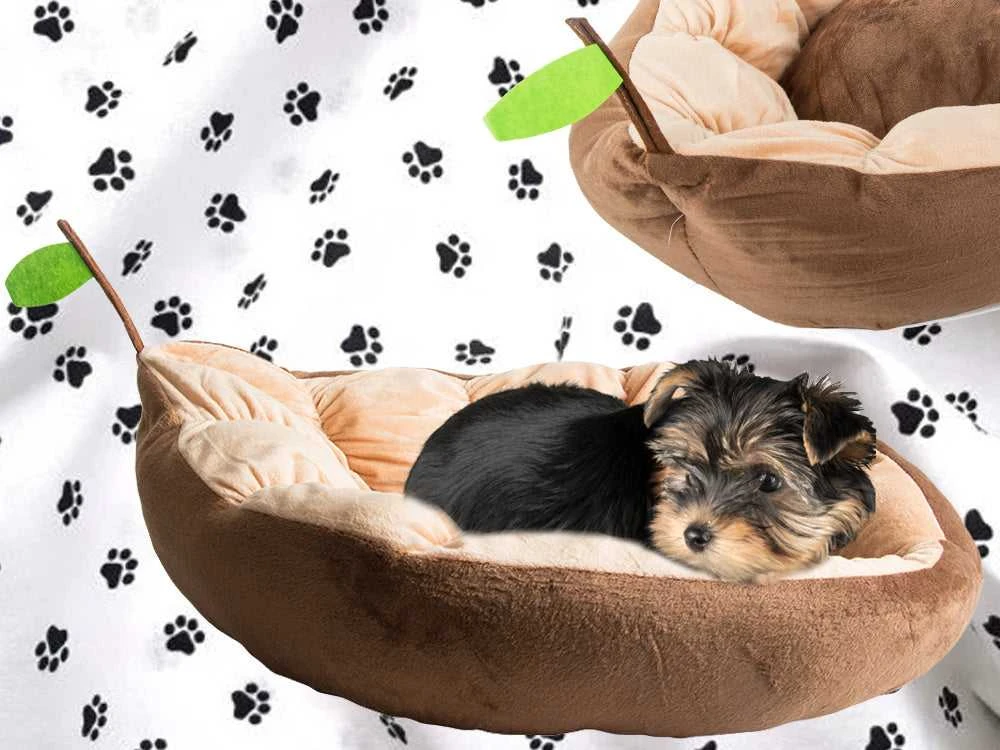 Pliušinė lovos pagalvėlė šunų žaidimų aikštelė katėms minkšta sofa-lovatiesė