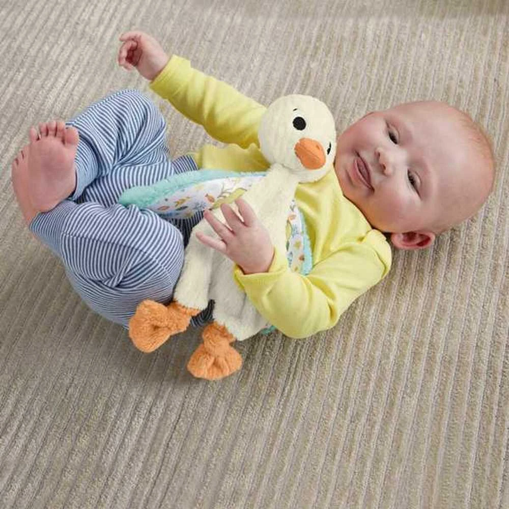 Mattel FISHER-PRICE žąsiukas (HRB16)