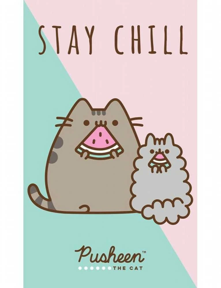 Pusheen rankšluostis 30x50cm