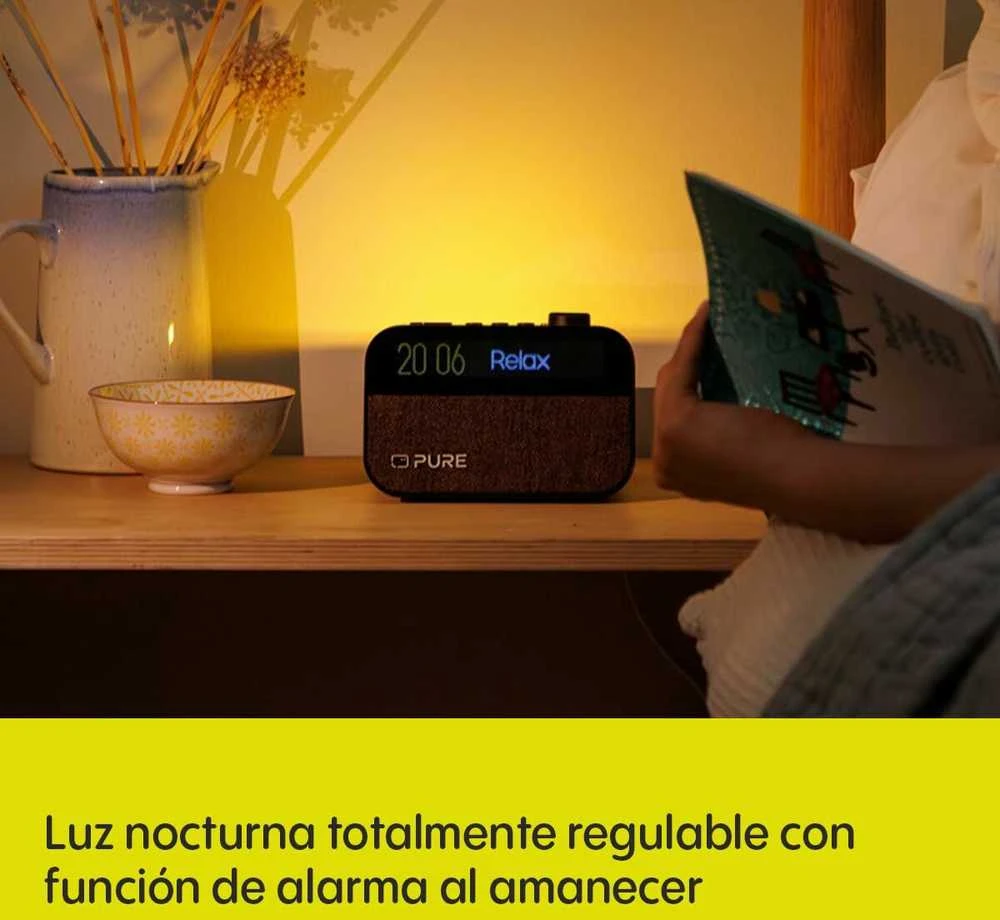 Radijo imtuvas su laikrodžiu Pure PURE MOMENT
