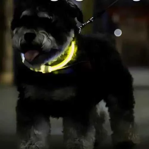 Reguliuojama LED šviesa su apykakle