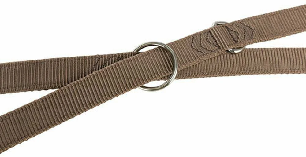 TRIXIE Premium pritaikomas pavadys, dvisluoksnis, L-XL 2m/25mm, lazdyno