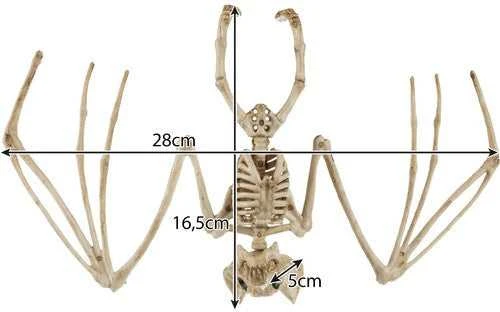 Šikšnosparnio skeletas - dekoracija 30 cm Malatec