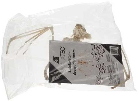 Šikšnosparnio skeletas - dekoracija 30 cm Malatec