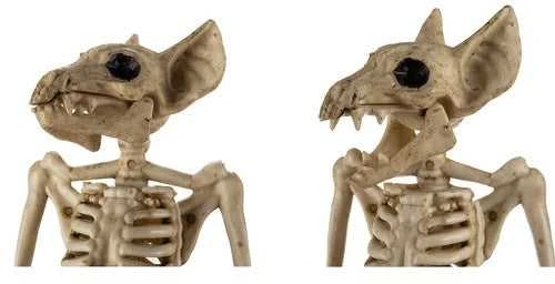 Šikšnosparnio skeletas - dekoracija 30 cm Malatec