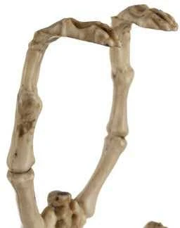 Šikšnosparnio skeletas - dekoracija 30 cm Malatec
