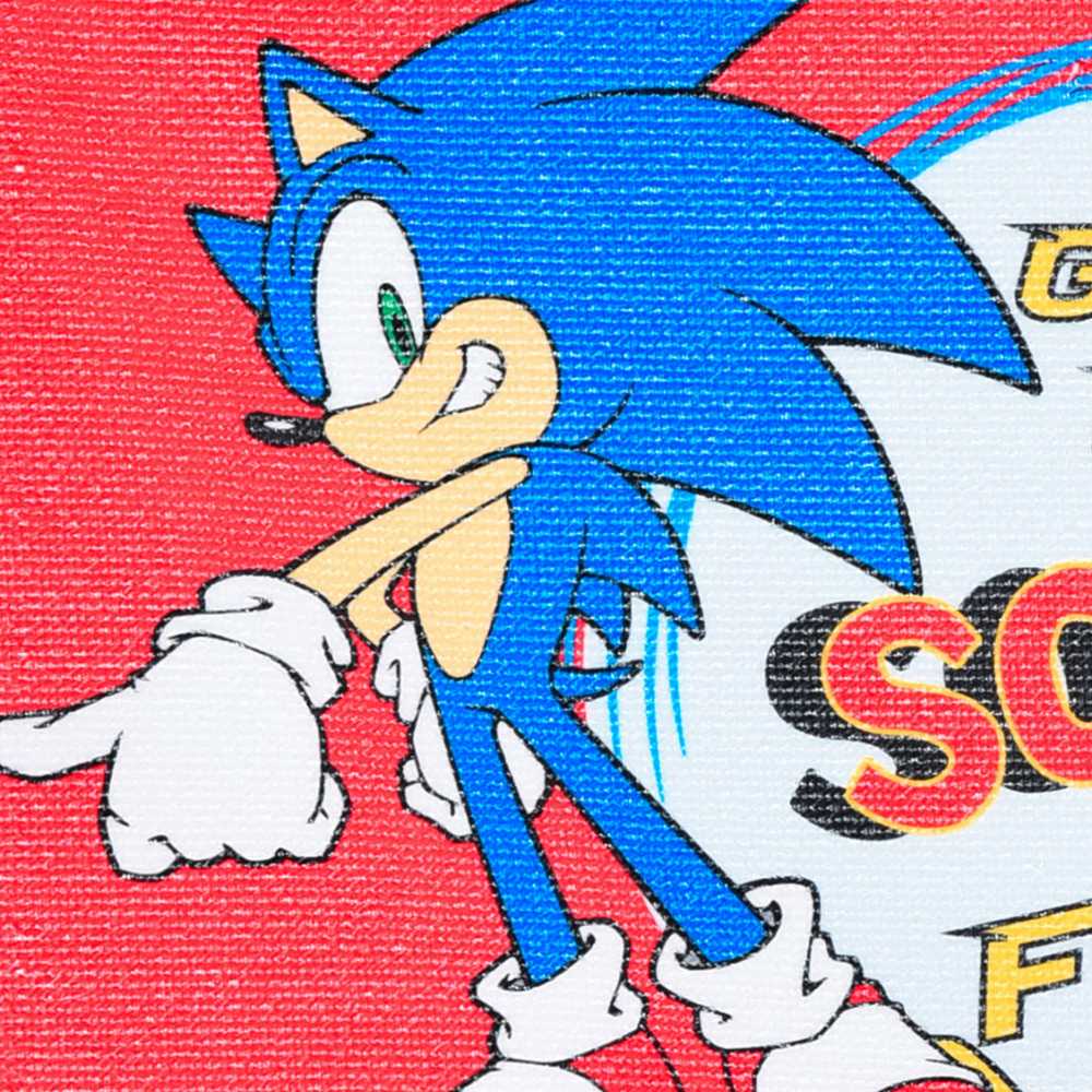 Sonic the Hedgehog Gotta Go rankšluostis, veido rankšluostis, rankšluostis 40x30 cm