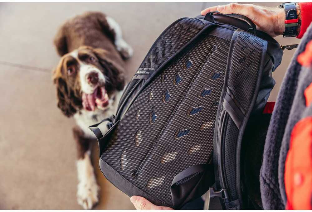 Gregory Nano Urban backpack 16 l Juodas