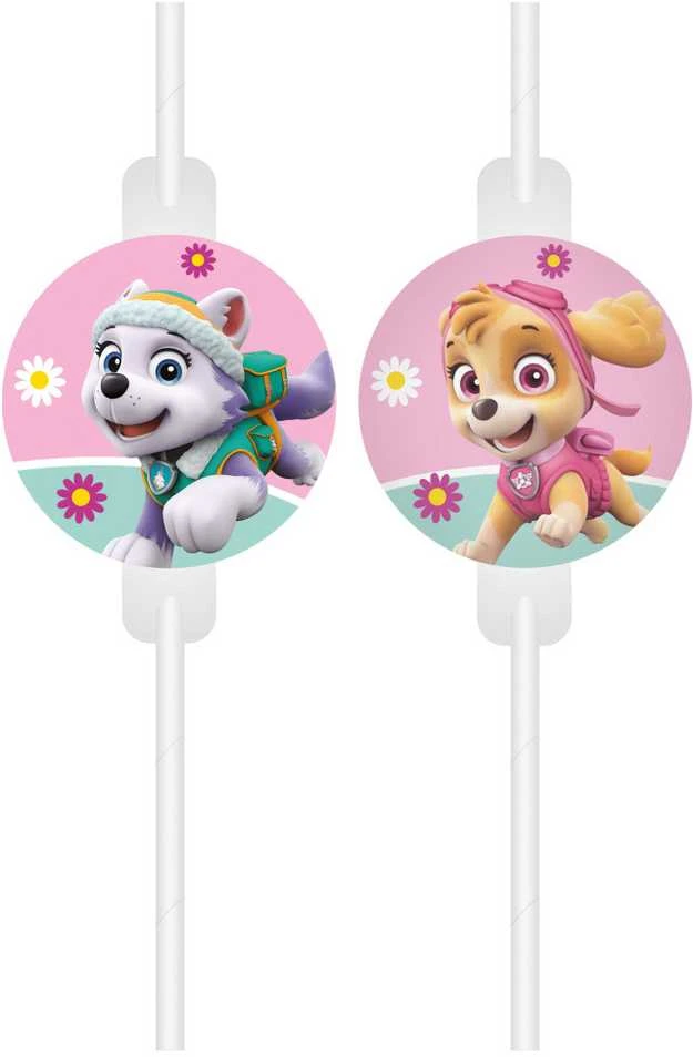 Globos Europe Bv Popieriniai vamzdeliai su Paw Patrol medalionu 4vnt