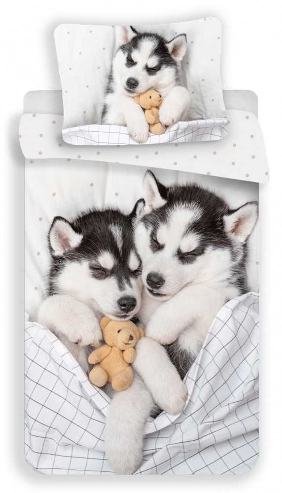 Patalynė bawełniana 140x200 Pieski Husky pies 7592 poszewka 70x90 mlodzieżowa miś uszatek dog
