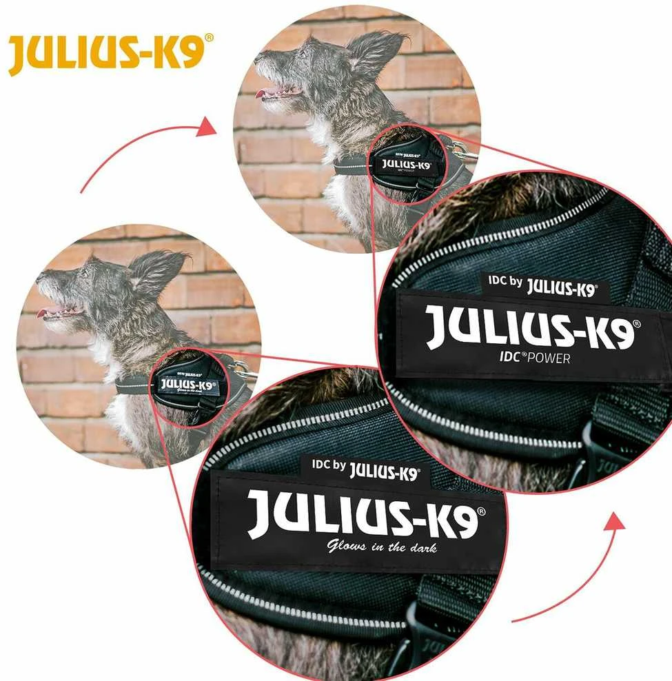 Trixie Julius- K9 IDC Baby 2 / Mini- mini M - Juodas