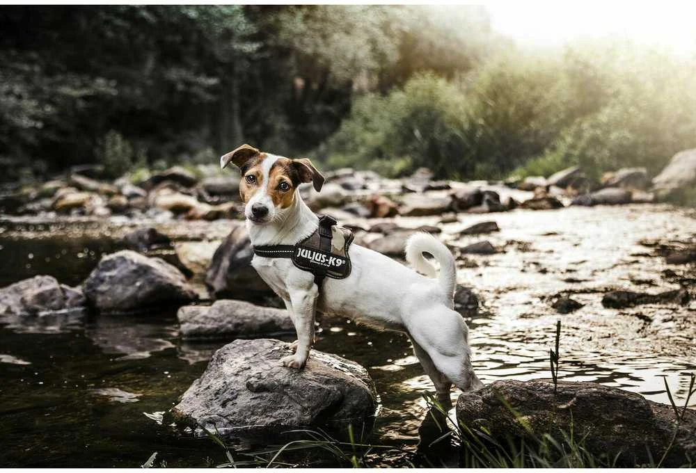 Trixie Szelki šuniui Julius-K9 Harness, Mini/M: 51–67 cm, camouflage (TX-150221)