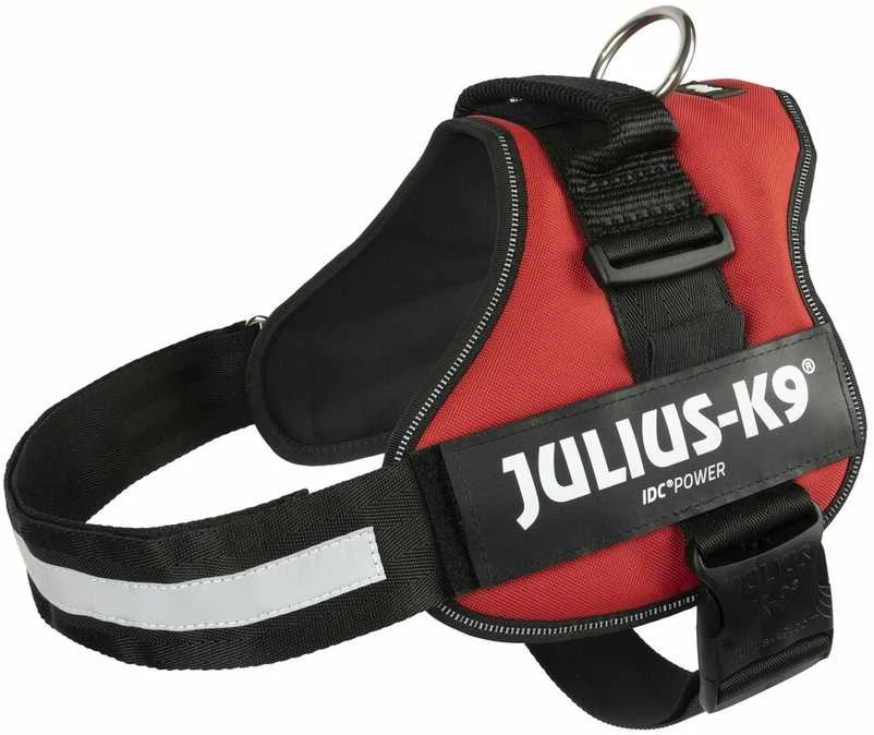 Trixie Petnešos Julius-K9, 2/L–XL: 71–96 cm, raudonos sp.