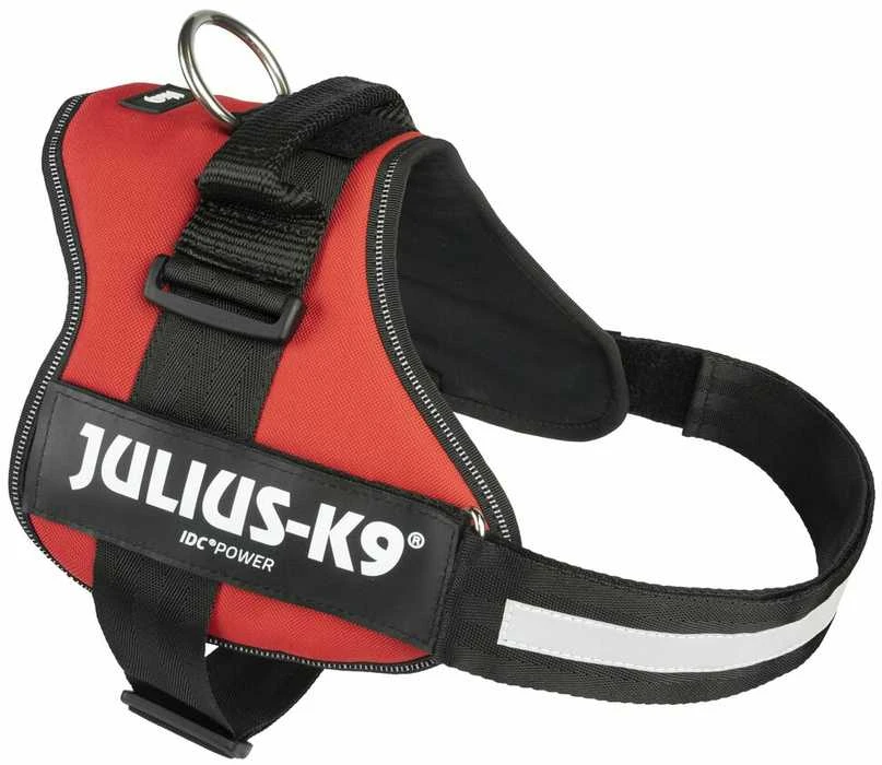 Trixie Petnešos Julius-K9, 2/L–XL: 71–96 cm, raudonos sp.