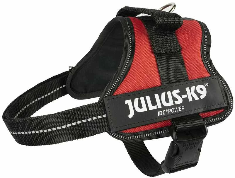 Trixie Petnešos Julius-K9, Mini/M: 51–67 cm, raudonos sp.