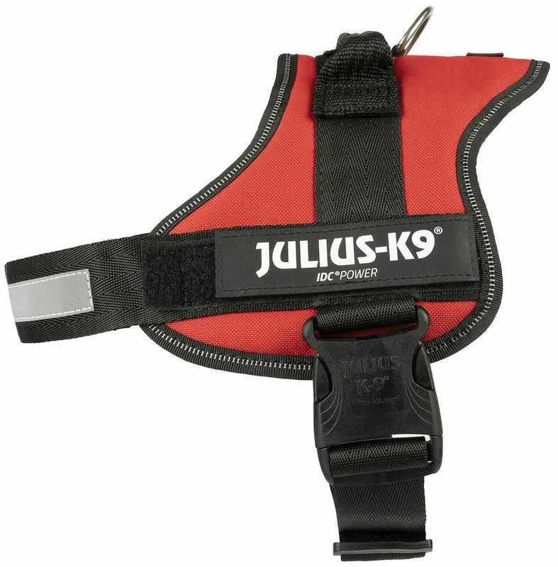 Trixie Petnešos Julius-K9, 0/M–L: 58–76 cm, raudonos sp.
