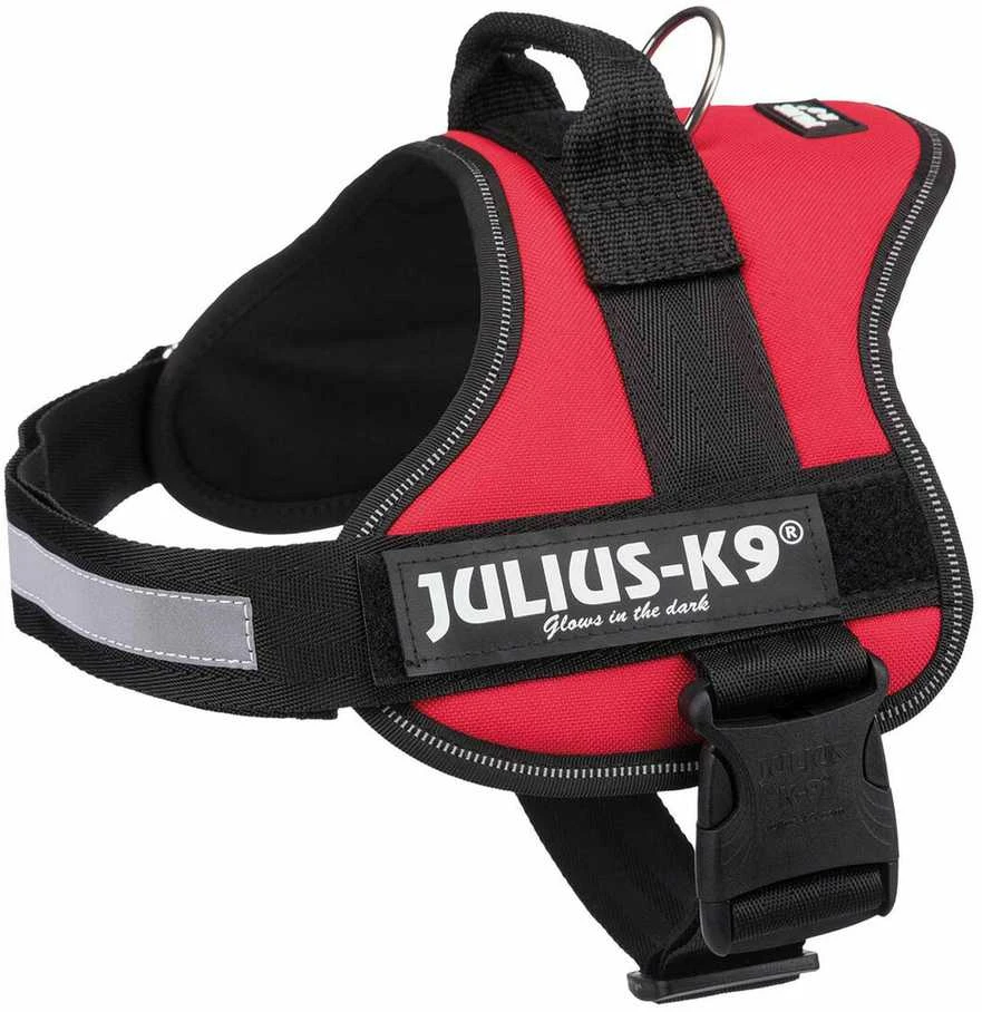 Trixie Petnešos Julius-K9, 0/M–L: 58–76 cm, raudonos sp.