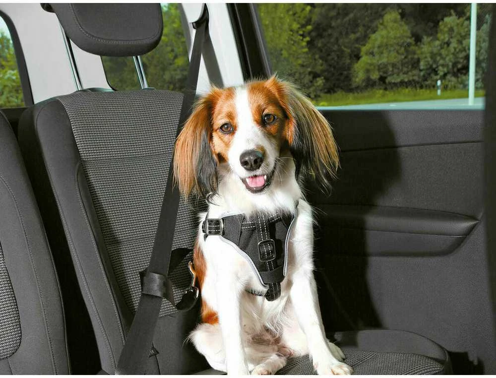 Trixie Dog Protect SM automobilio diržai: 40–55 cm / 20 mm juodi