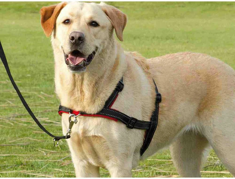 TRIXIE Petnešos Lead'n'Walk Soft, juodos, 65-105cm, L-XL dydžio, 13057