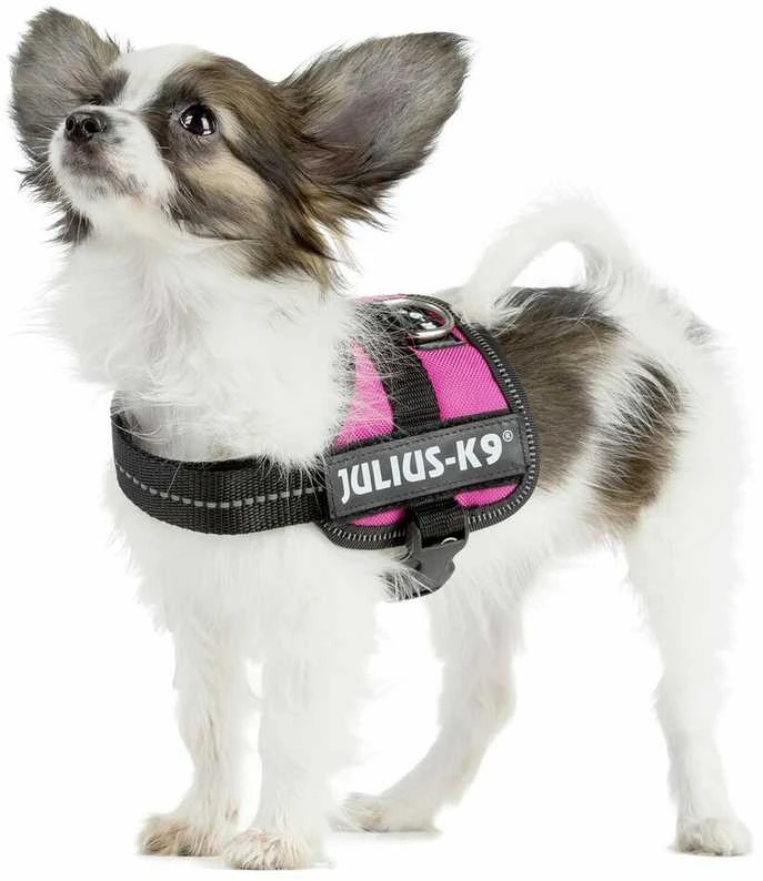 Trixie Julius-K9 Baby XS diržai - fuksijos spalvos