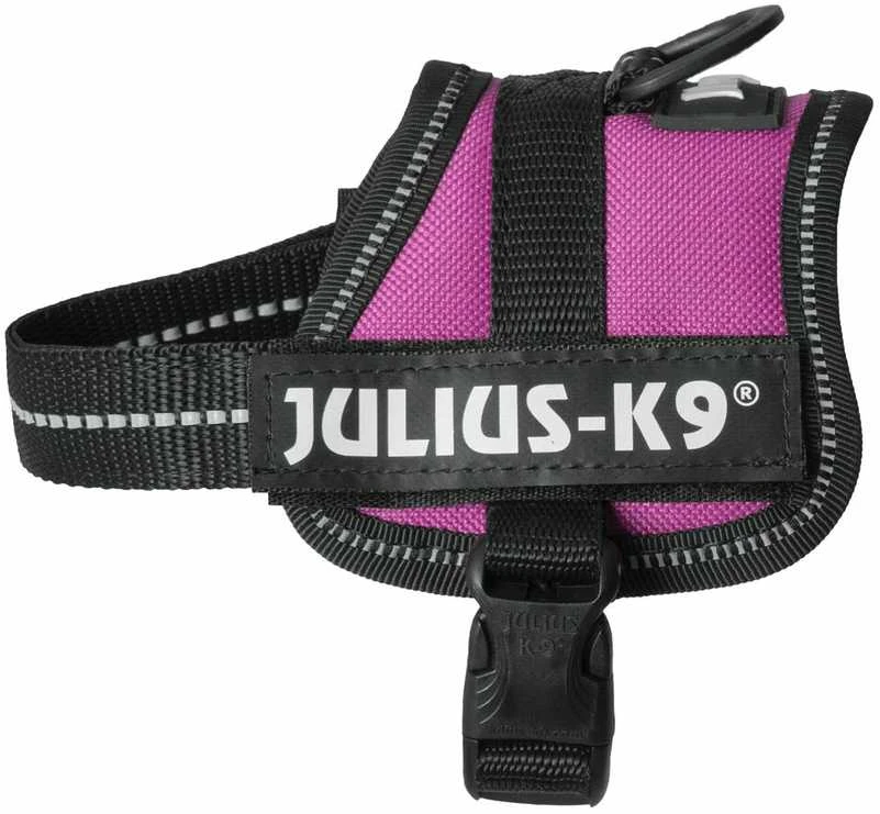 Trixie Julius-K9 Baby XS diržai - fuksijos spalvos