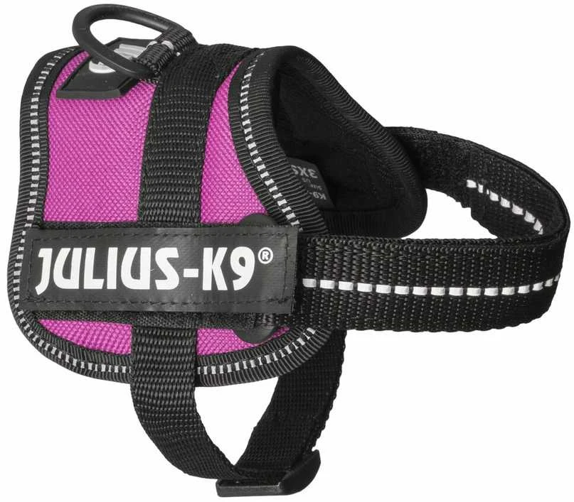 Trixie Julius-K9 Baby XS diržai - fuksijos spalvos