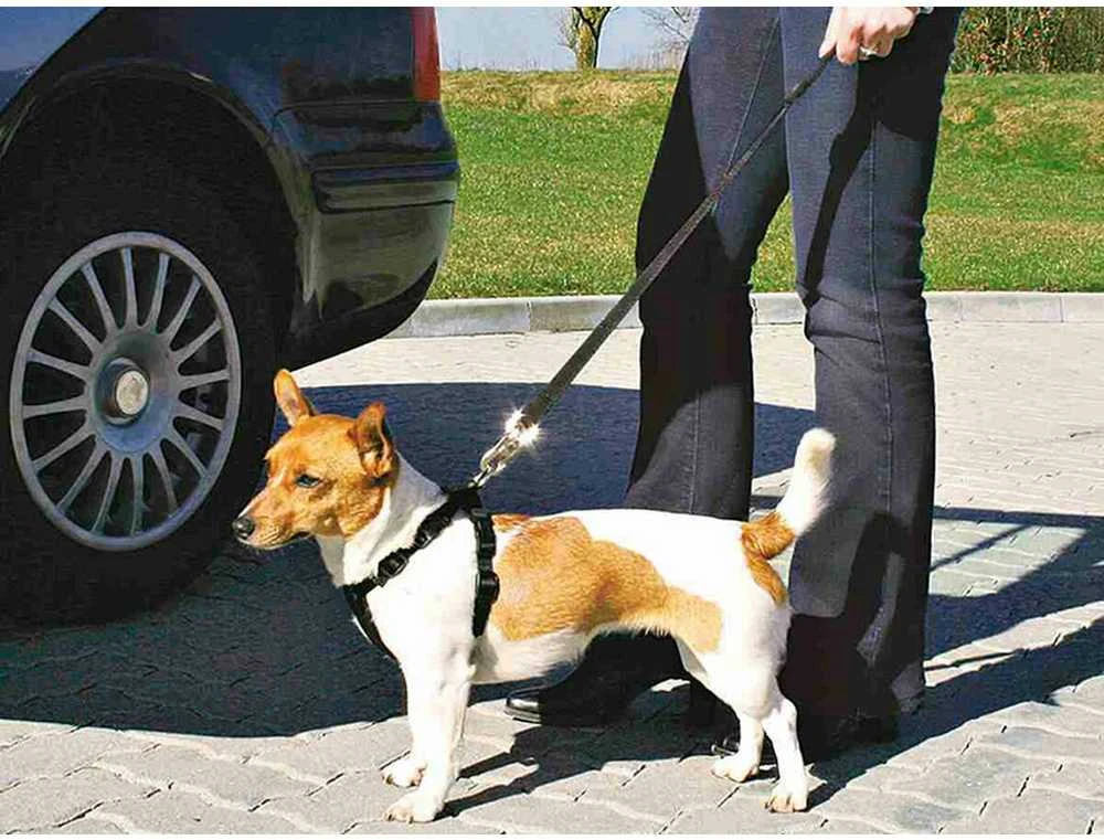 Trixie saugos diržas šuniui su petnešomis 30-60cm