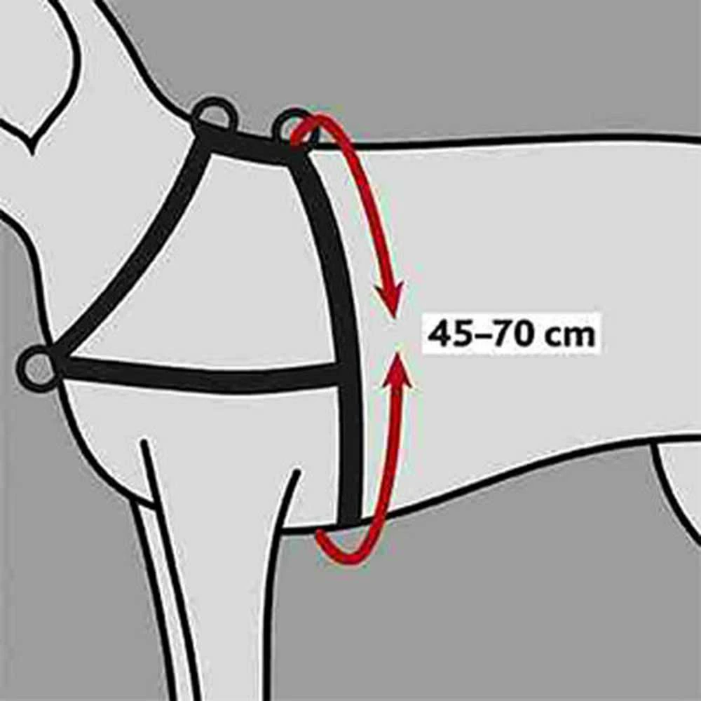 TRIXIE Petnešos Lead'n'Walk Soft, juodos, 45-70cm, S-M dydžio, 13055