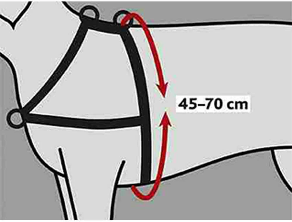 TRIXIE Petnešos Lead'n'Walk Soft, juodos, 45-70cm, S-M dydžio, 13055