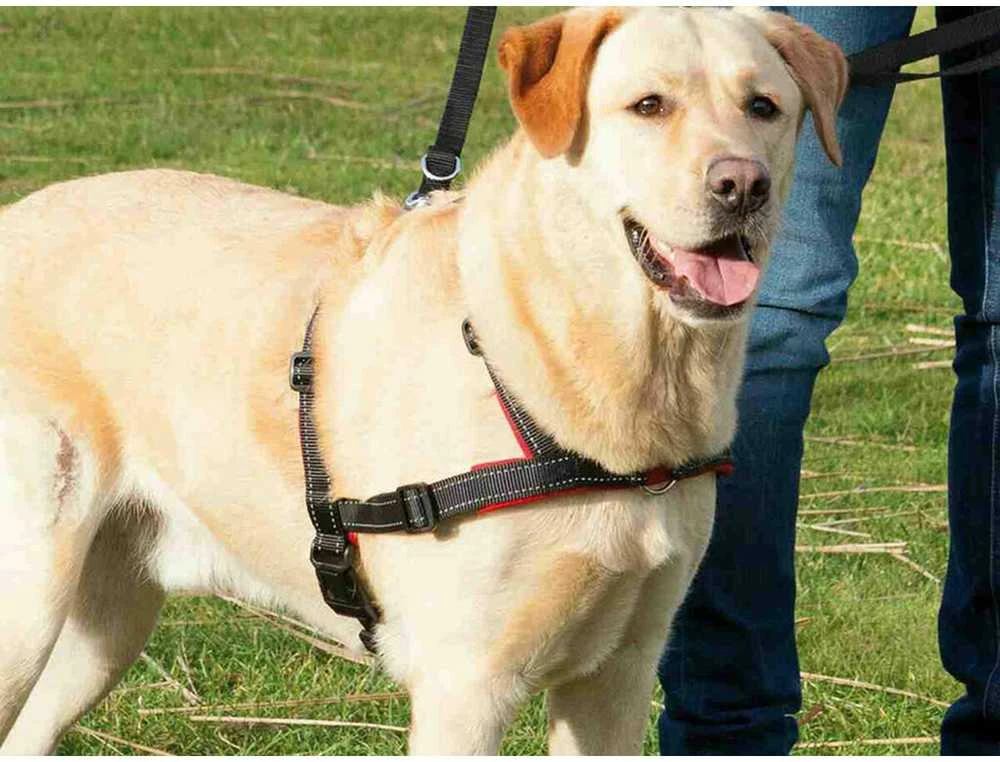 TRIXIE Petnešos Lead'n'Walk Soft, juodos, 45-70cm, S-M dydžio, 13055