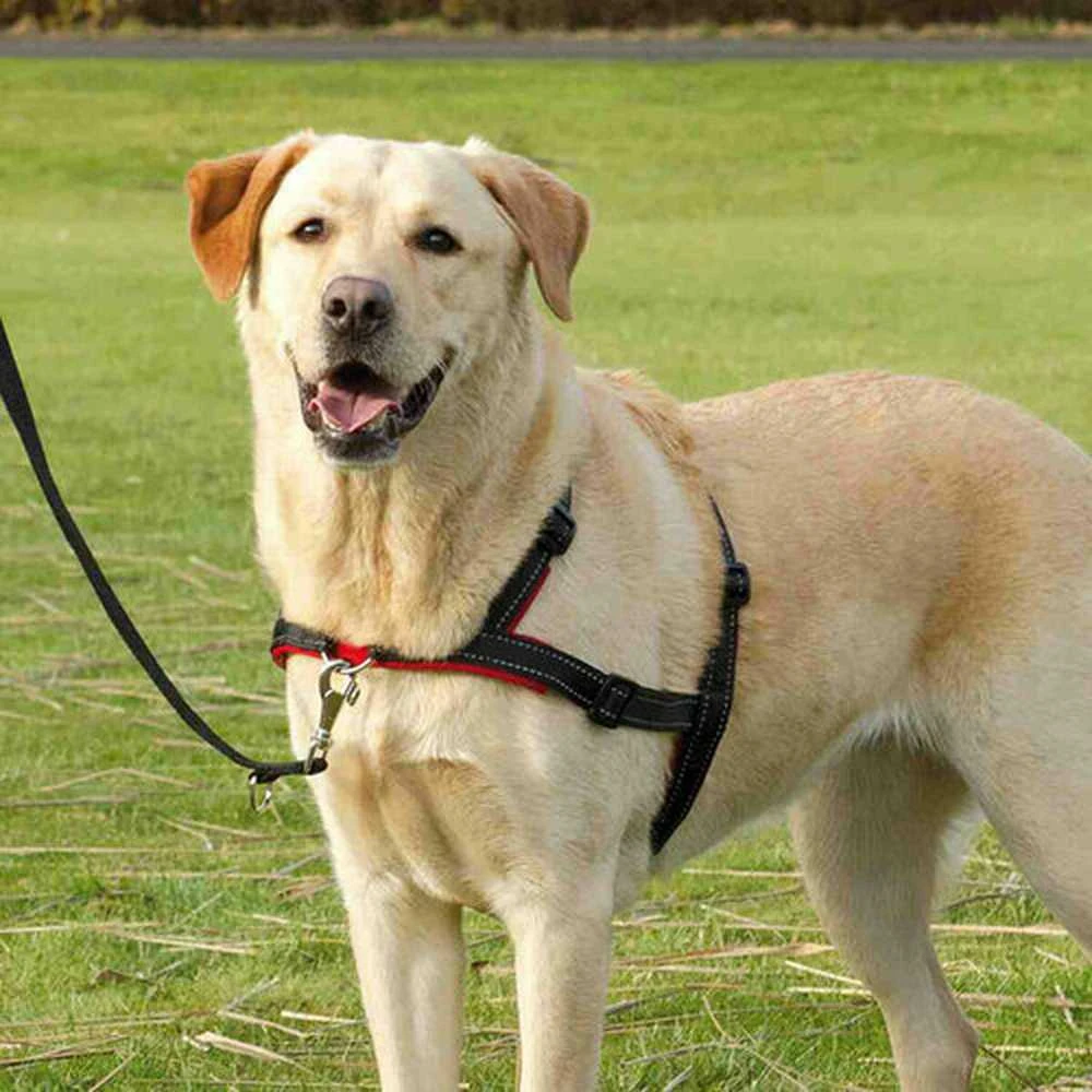 TRIXIE Petnešos Lead'n'Walk Soft, juodos, 45-70cm, S-M dydžio, 13055