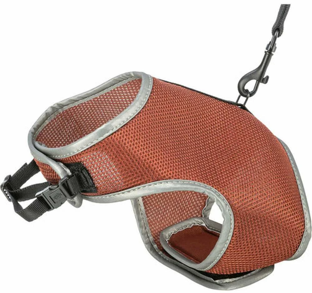 Trixie minkštos petnešos katėms, su pavadėliu, 24–42 cm, 1,20 m, rūdžių spalvos