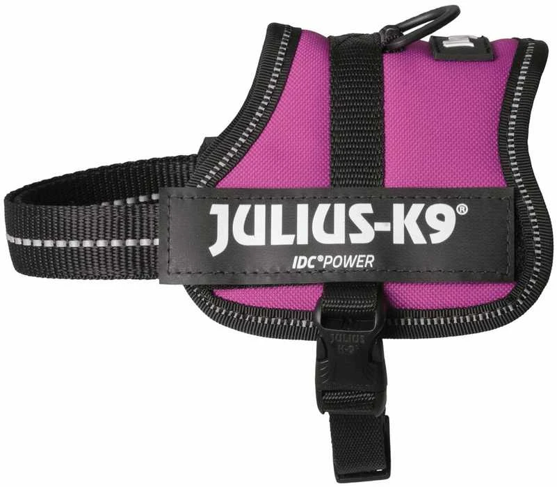 Trixie diržai Julius-K9, Baby 2/Xs-S: 33-45 cm, fuksija