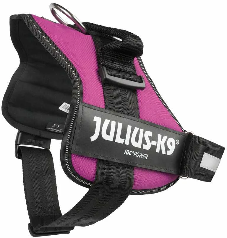 Trixie diržai Julius-K9, 1/L: 66–85 cm, fuksija