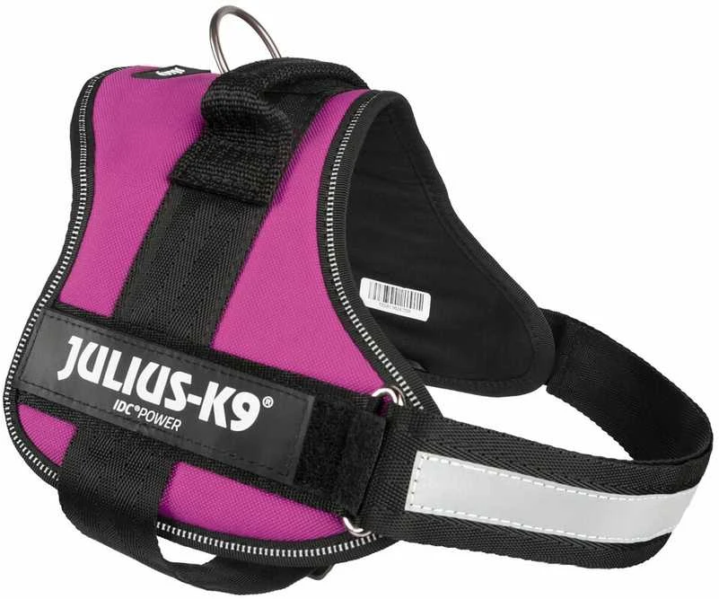 Trixie diržai Julius-K9, 0/M–L: 58–76 cm, fuksija
