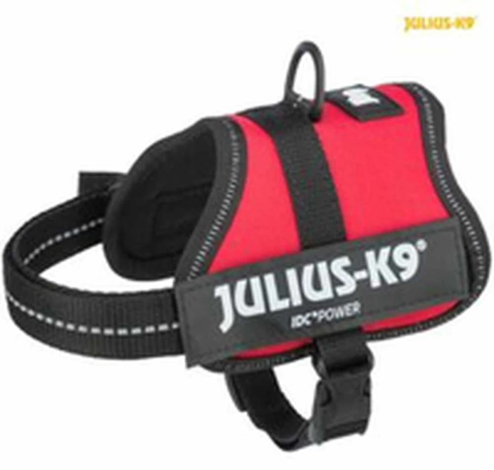 Trixie Julius-K9 Baby / Mini-Mini / Mini S diržai - fuksijos spalvos