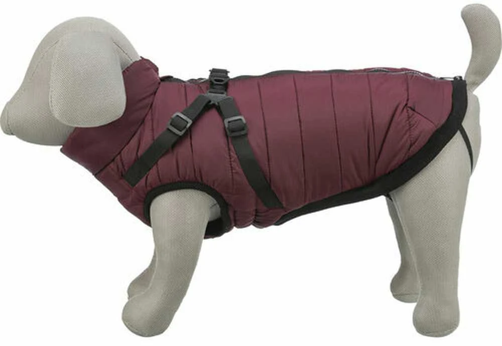 Trixie Pirou žieminė striukė su petnešom, S: 40 cm, t.raudona