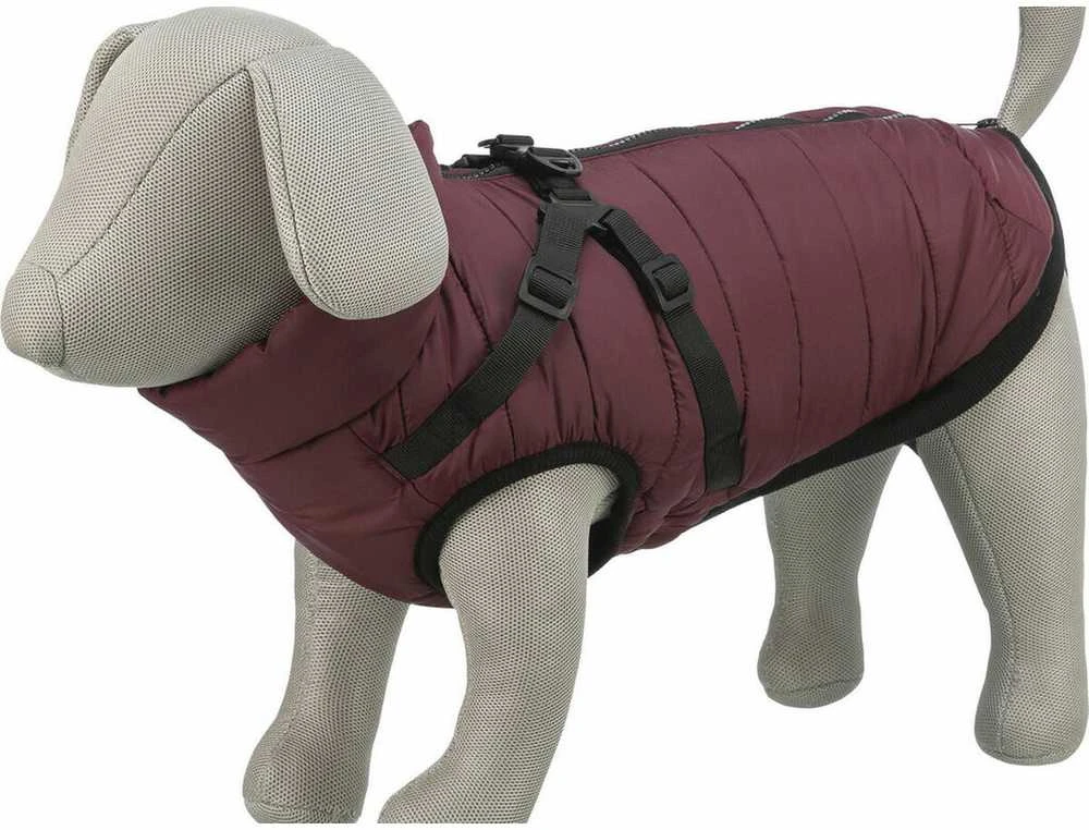 Trixie Pirou žieminė striukė su petnešom, S: 40 cm, t.raudona
