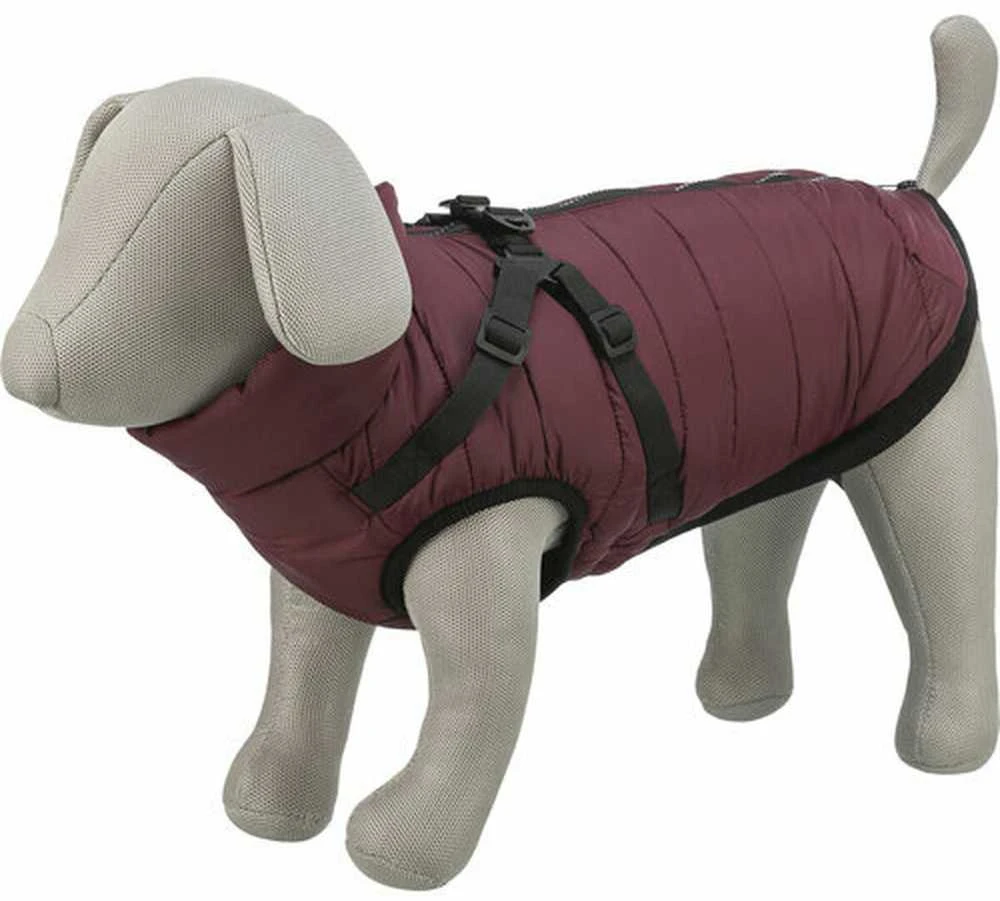 Trixie Pirou žieminė striukė su petnešom, S: 40 cm, t.raudona
