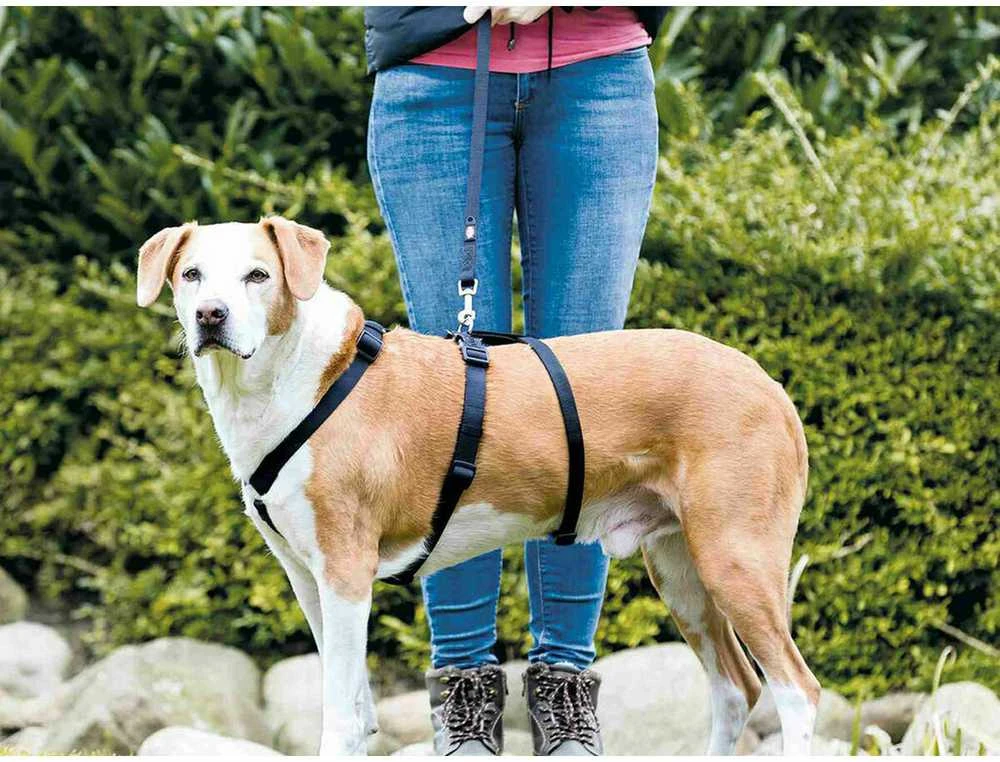 TRIXIE Panic petnešos su apsauga nuo nuo pabėgimo, S-M 40-65 cm-15 mm, juodos
